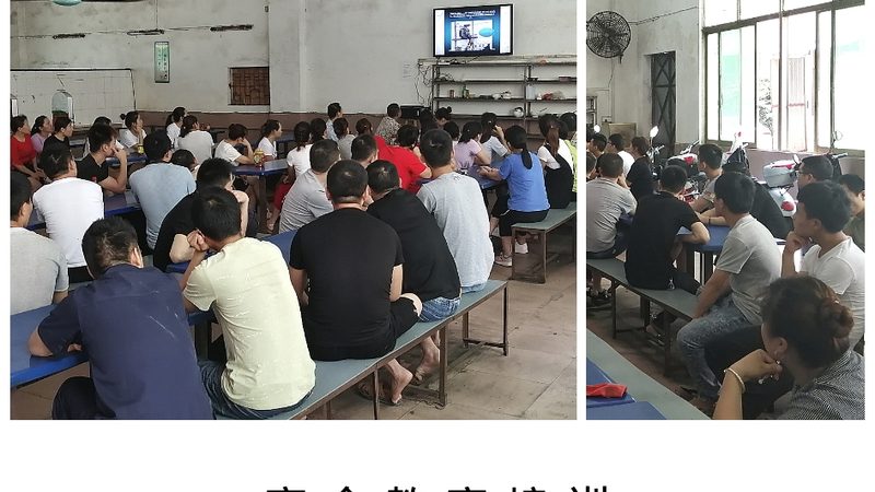 K12在线教育内容审核规范：守护孩子的学习环境